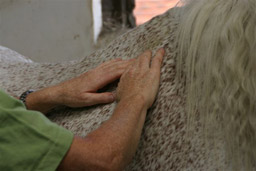Equine Bowen Therapy