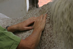 Horse receiving Equine Bowen